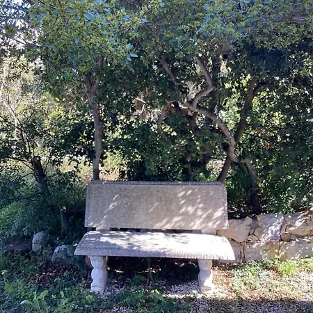 La Casa Nel Bosco Monopoli